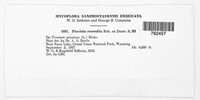 Puccinia recondita image